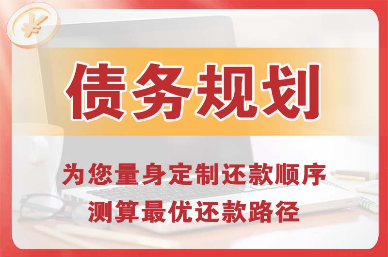忻州债务规划